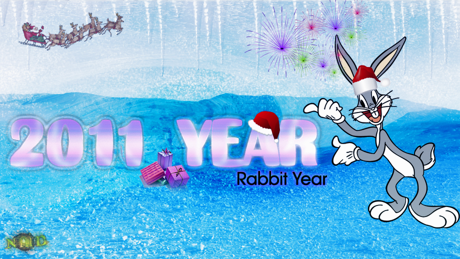 2011 Year - Rabbit Year