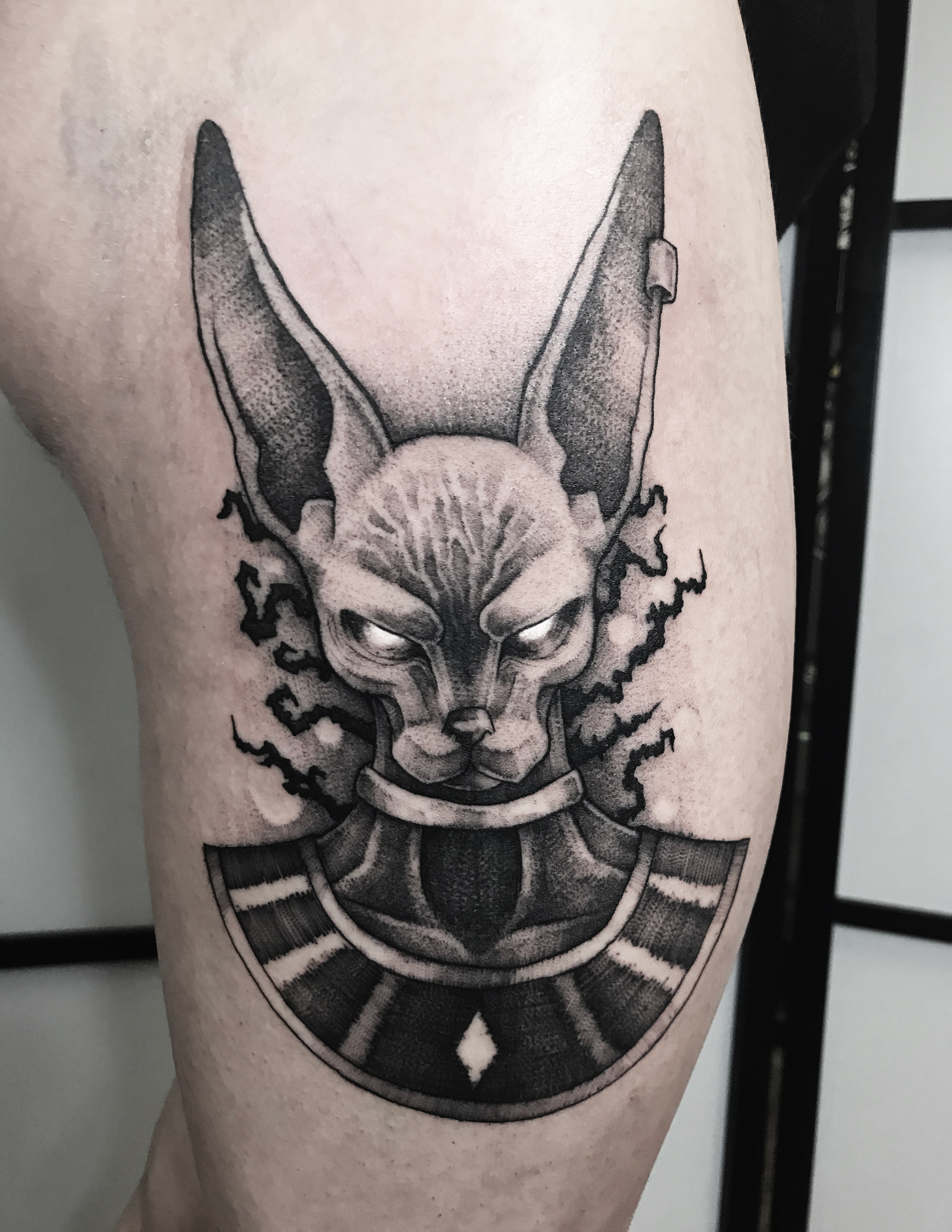 Dragon Ball Beerus