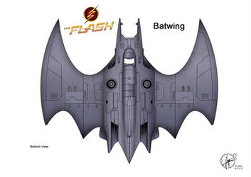 Batwing Bottom view