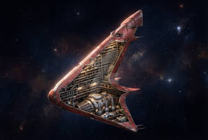Die Terranauten - spaceship of the Kangrahs