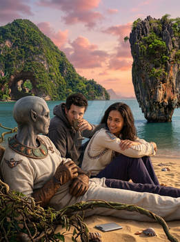 Interstellar visiting group