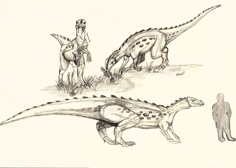 macrogryphosaurus