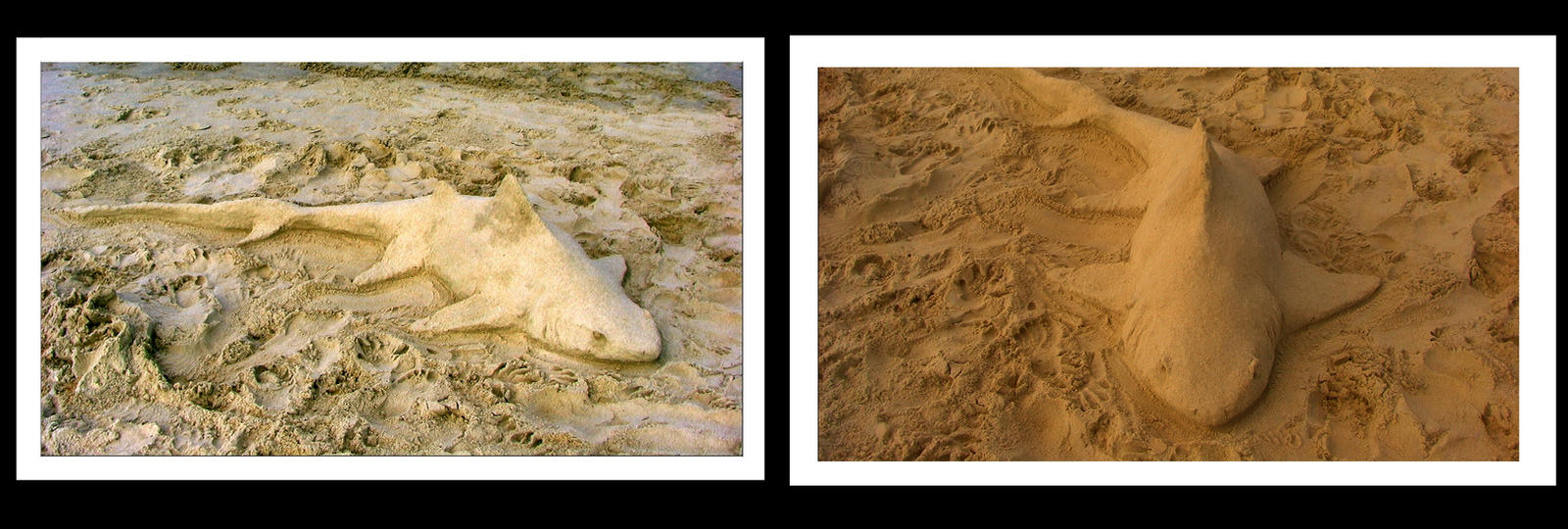 thresher shark sand sculpture