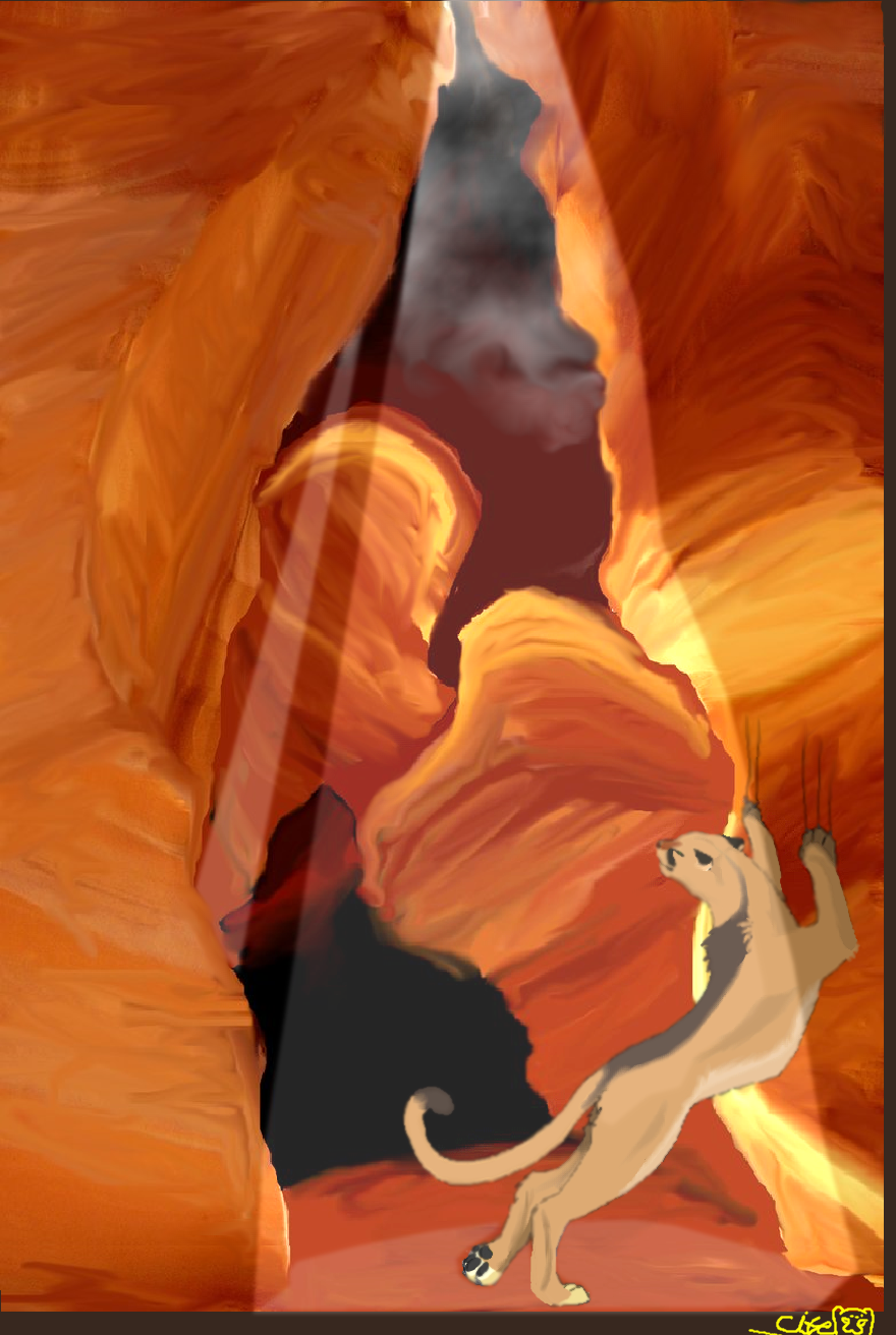 puma's cavern
