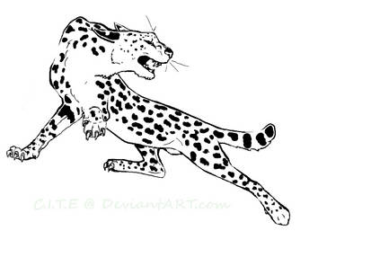 rare white serval tattoo