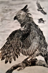 Sky Emperor