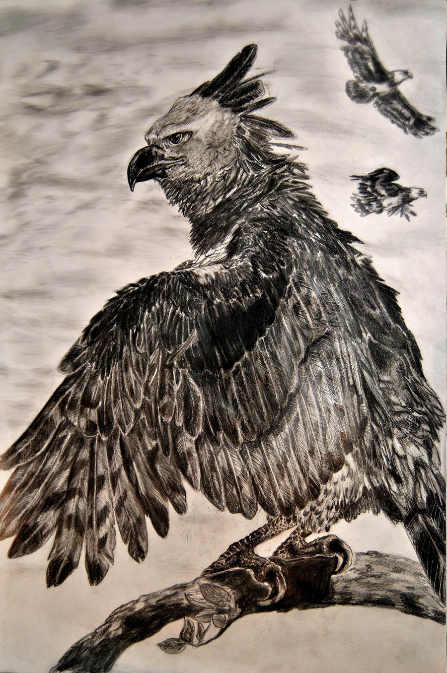 Sky Emperor