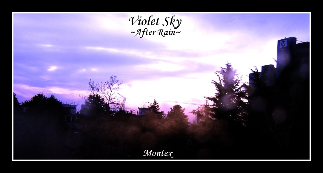 Violet Sky::After Rain::