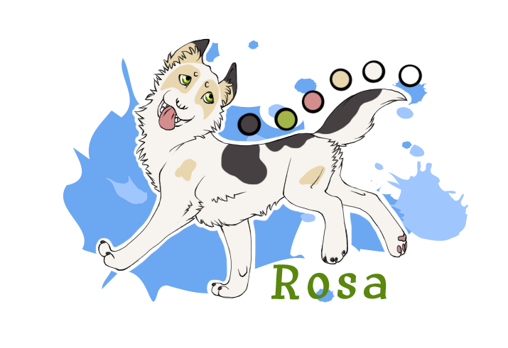 Rosa