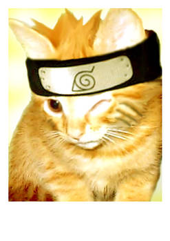 Naruto Catz