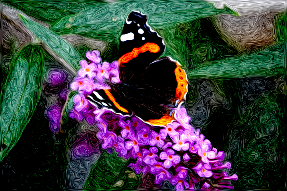 butterfly in color