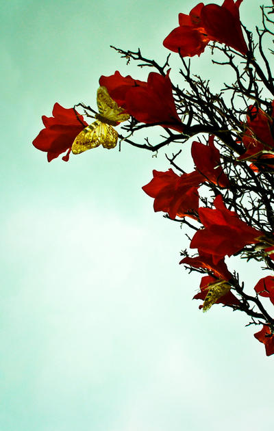 Everlasting Change by JoLuffiroSauce