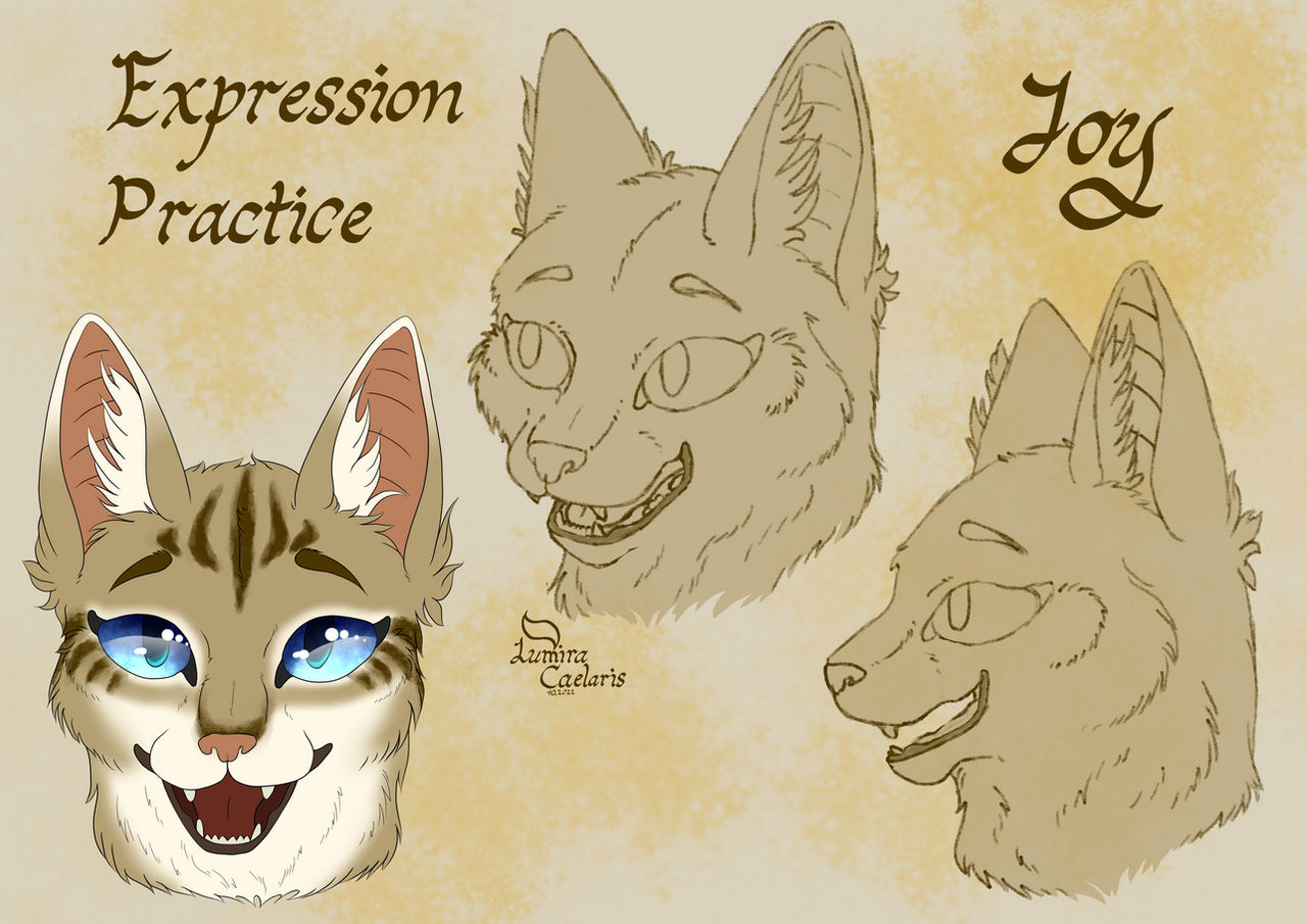 Joy Expression Reference .:Joy Expression Practice:. by oOLumiraOo on DeviantArt