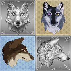 .:Collection Of Wolf Portraits:.