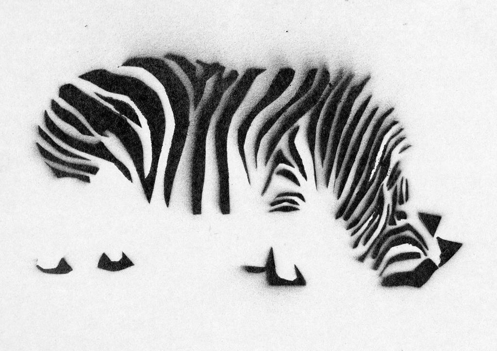 Rinozebra