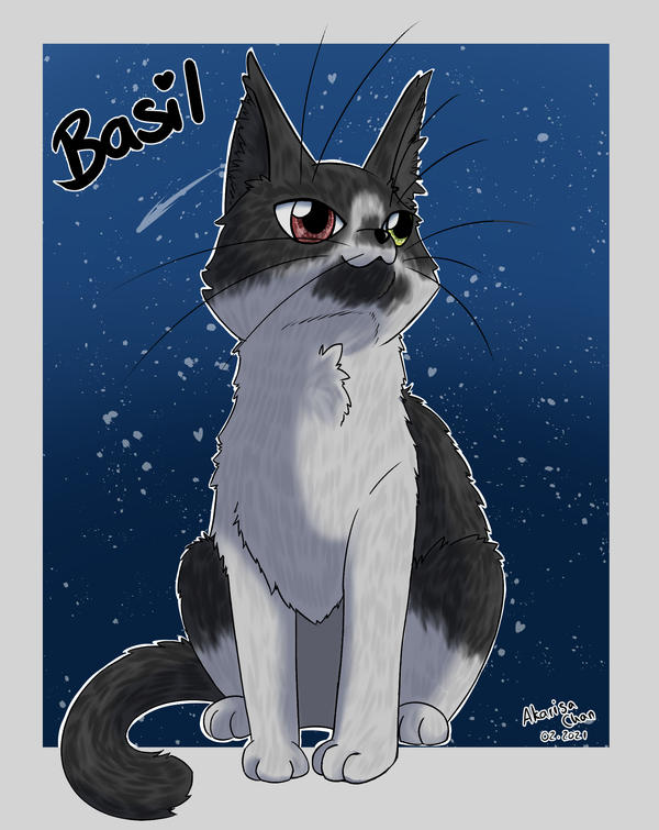 Basil (Cat) by AkarisaChan on DeviantArt
