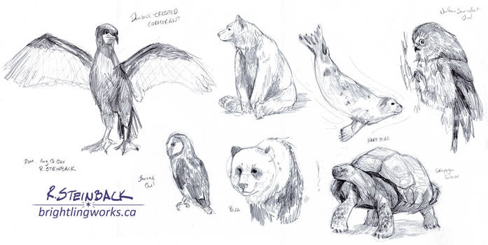 ROM Animal Sketches, August 2014
