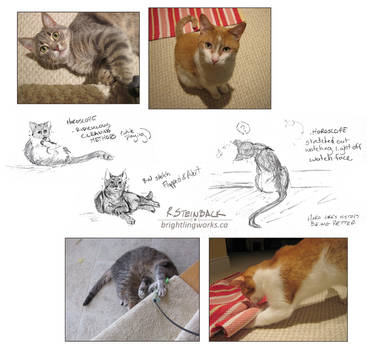 Petsitting Sketches + Snapshots: B-W and Horo