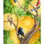 Watercolour Sketch - Birds in the Brush