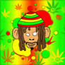 Rasta Monkey