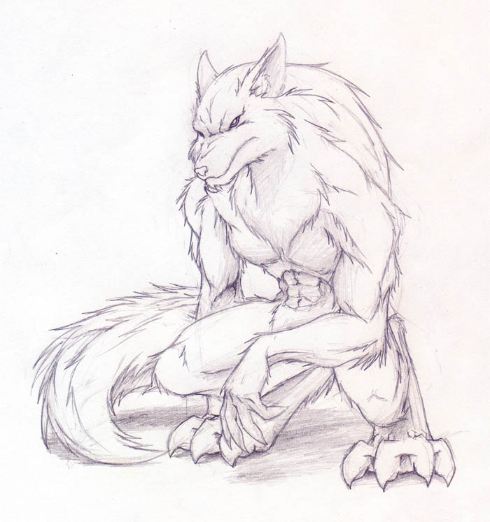 Wolf crouch