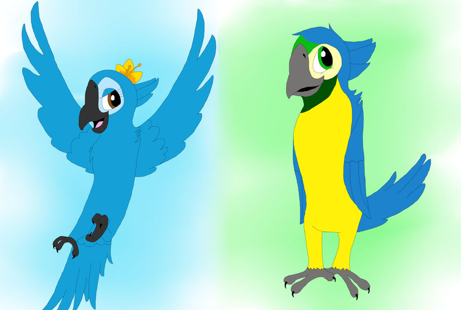 Ridicbird Deviantart Rio Birds of Rio by Musicalmutt2 on DeviantArt
