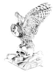 Minerva's Owl