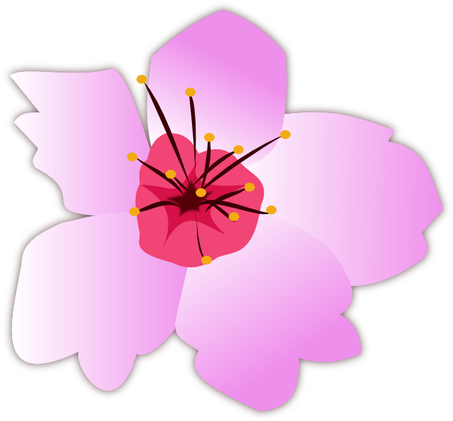 Sakura Vector By Xsherbearx On Deviantart