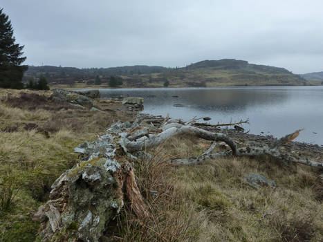 Loch Ordie