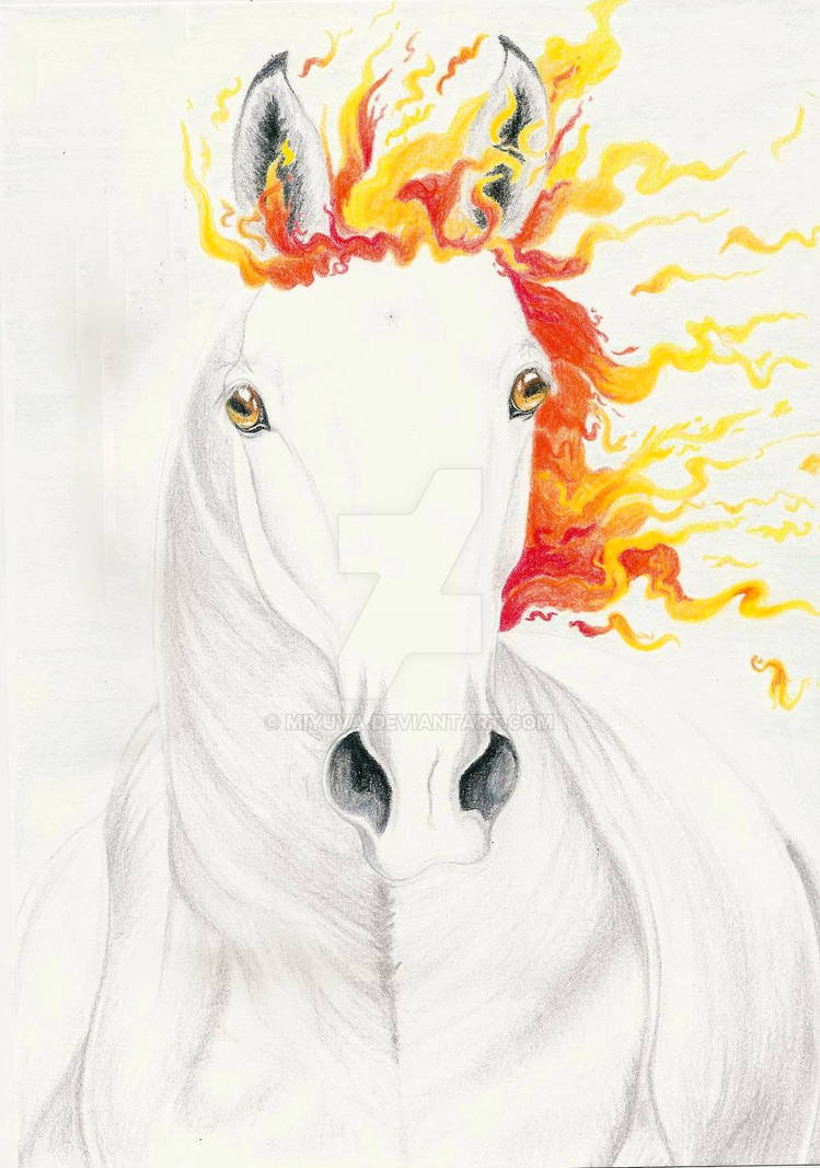 Firemare Portrait by Miyuva on DeviantArt