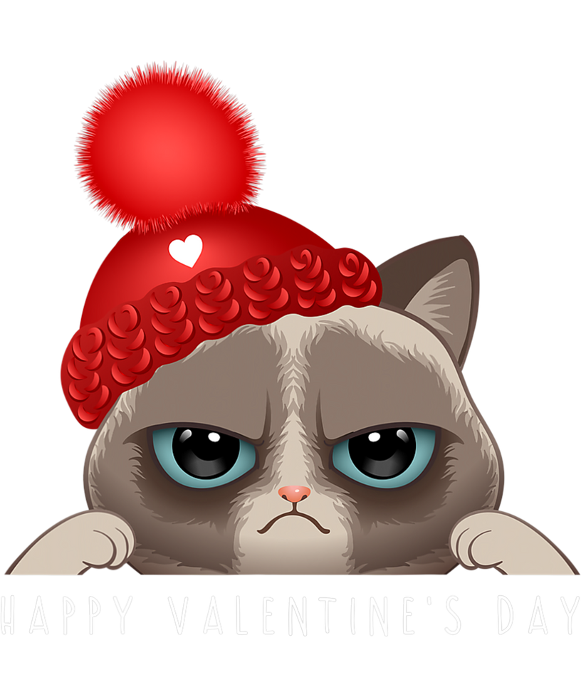 Funny Happy Valentine's Day Cat Love Heart Boys Gi by liagay on DeviantArt