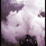 Steam Train