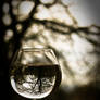 A Glass of Water 2