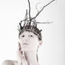 Crown of Twigs