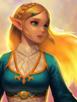 BOTW Zelda