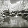The River.