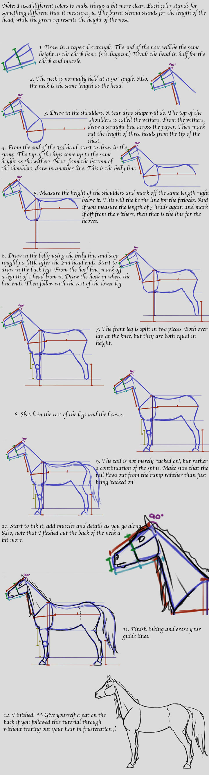 Beginners Way to Horse Drawing