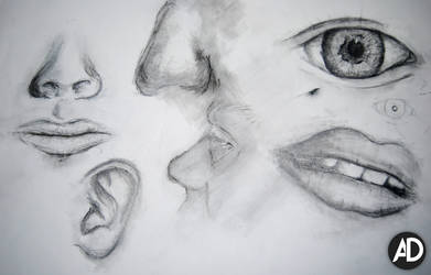 Observational Drawing - Facial Features (2013)
