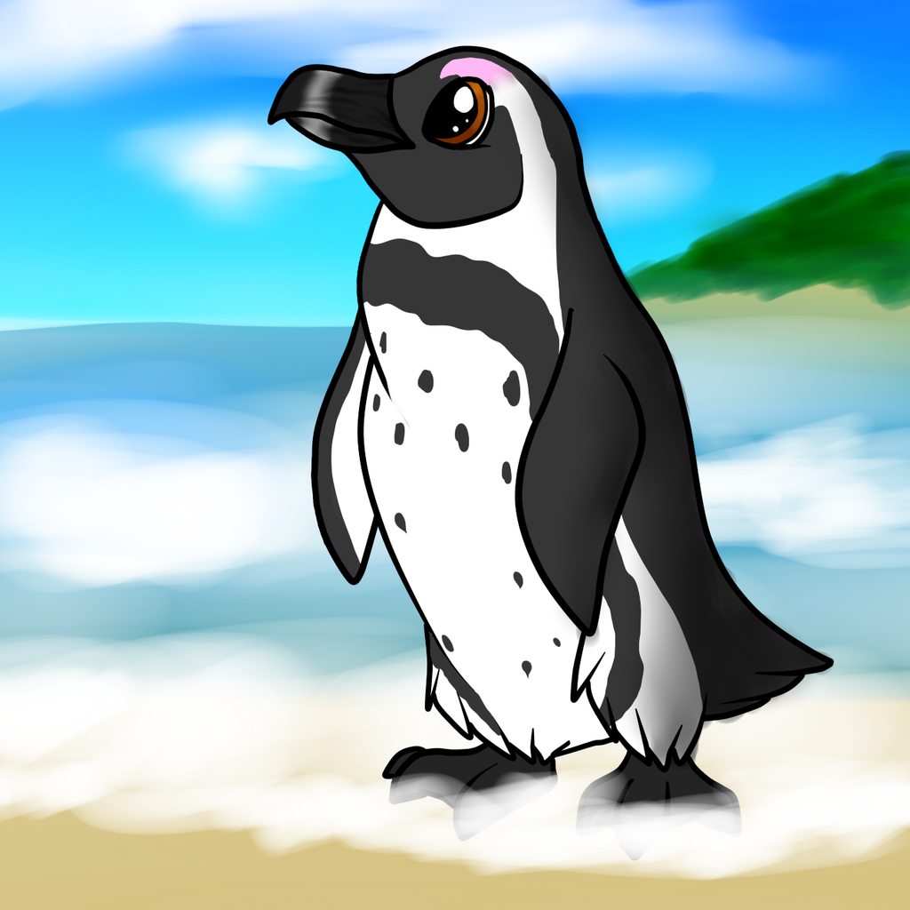 South african penguin