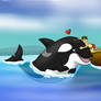 Orca friend