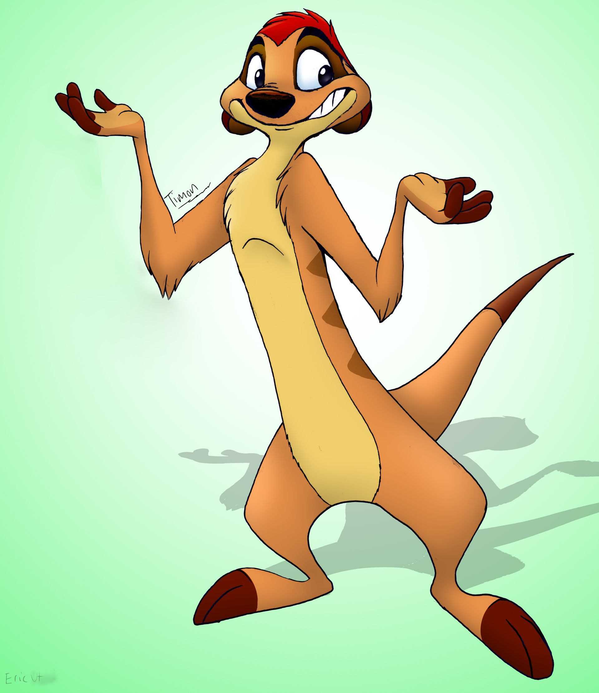 Timon by Enricthepenguin92 on DeviantArt