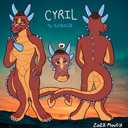 CYRIL 2022 Reference Sheet