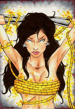 Donna Troy Sketch Card