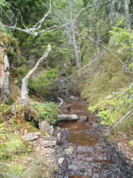 Gullverket: Mine entrance