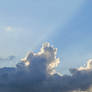The sun always knows the way