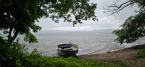 The peaceful life of a fisherman