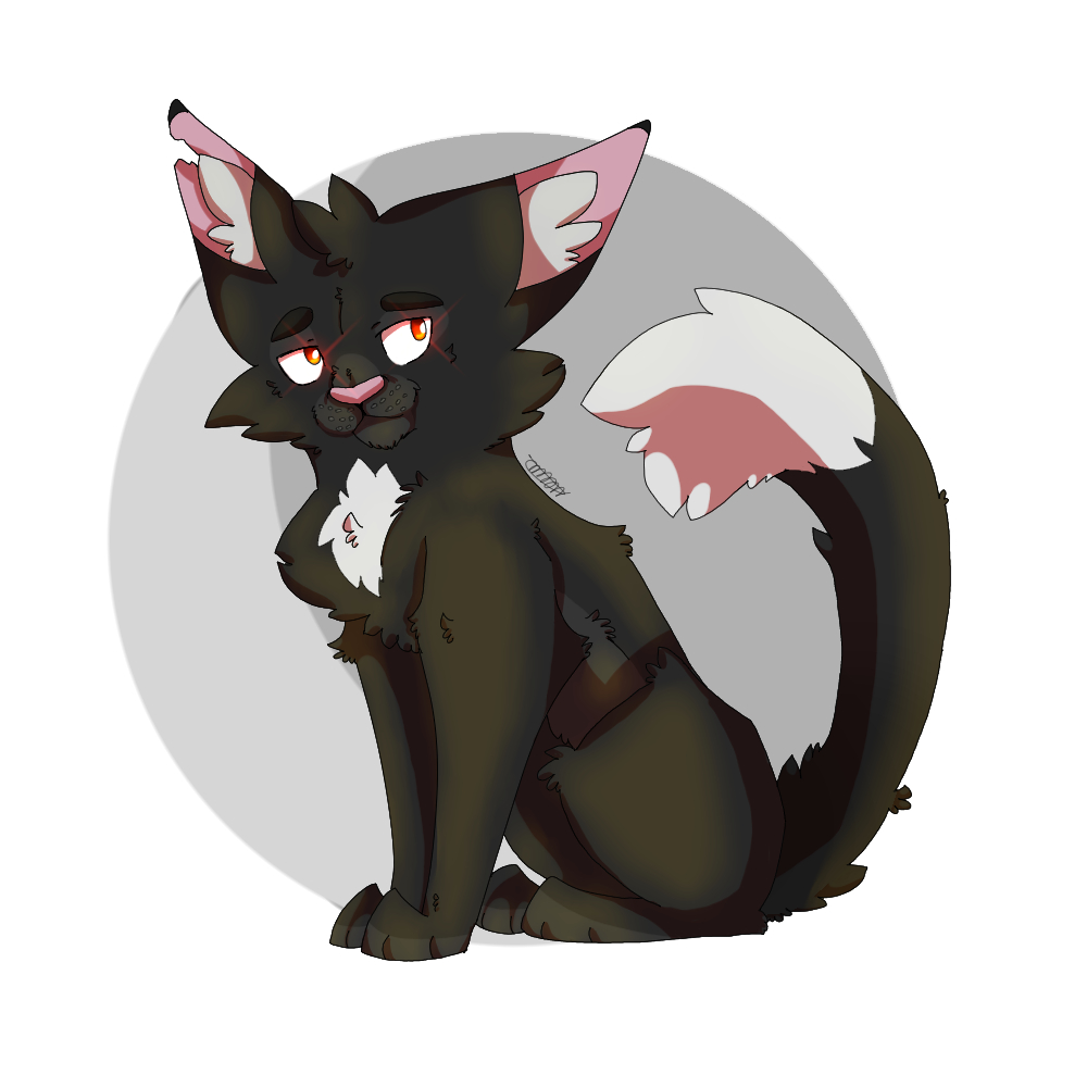 Ravenpaw  Warrior Cats