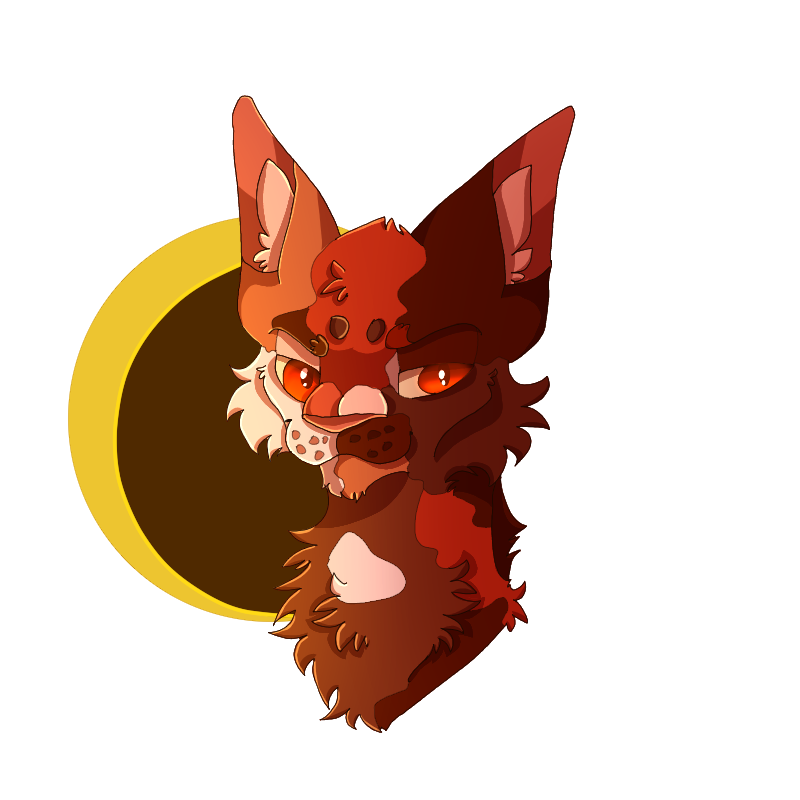 Kittens Sol Warrior Cats - Sol by TheMashedCat on DeviantArt