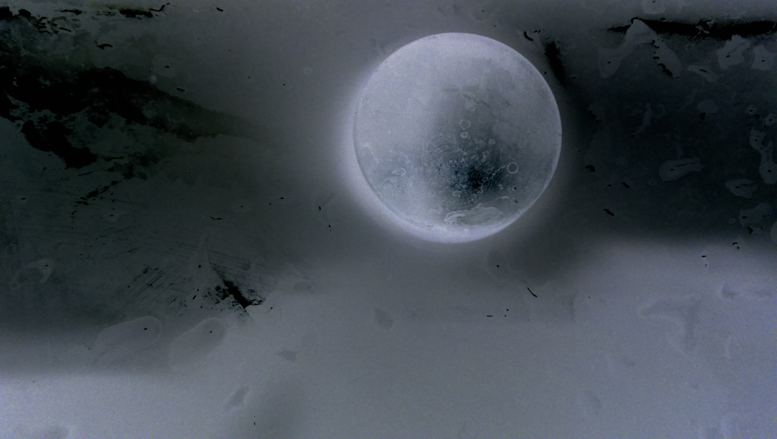 Poissons de Lune