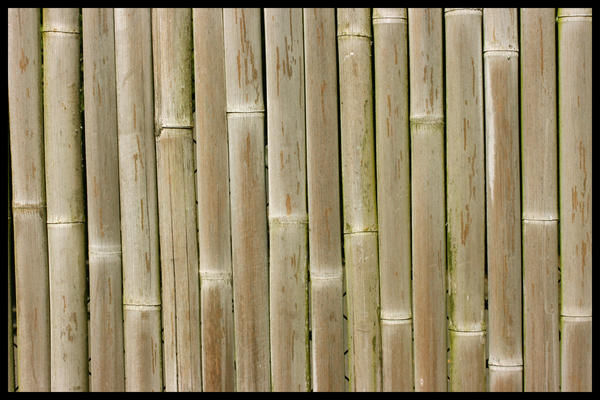 Multi Texture Ramboo Bamboo Texture by Maxidius on DeviantArt